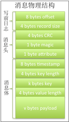 消息物理结构.png